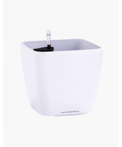 Ø44.6/32 x 42cm Square Cup NEW Self-Watering Pot By AquaLuxe