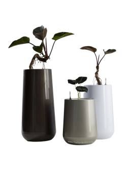 Carino Self-Watering Pot By AquaLuxe