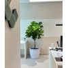 Ø50.5/38 x 47.5cm Round Cup Self-Watering Pot By AquaLuxe