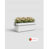 Capri Balcony Plant Box with Water Reserve includes Pot Hanger