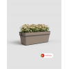 Capri Balcony Plant Box with Water Reserve includes Pot Hanger