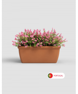 Siza Plant Box By Artevasi Natural