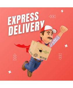 Express Delivery 