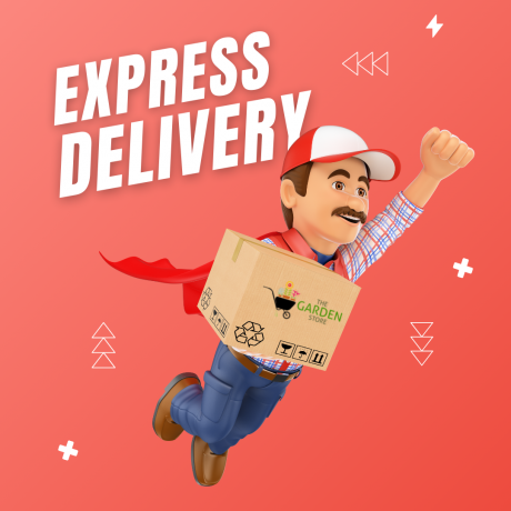 Express Delivery 