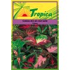 Coleus Seeds By Tropica