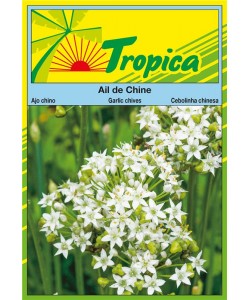 Garlic Chives Seeds By Tropica