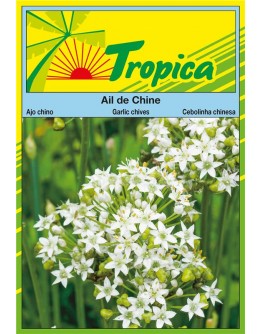 Garlic Chives Seeds By Tropica