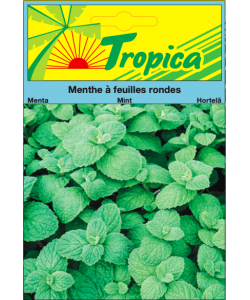 Mint (Mentha) Seeds By Tropica