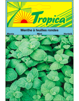 Mint (Mentha) Seeds By Tropica