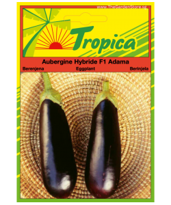 Eggplant (Adama F1) Aubergine By Tropica (50 Seeds)