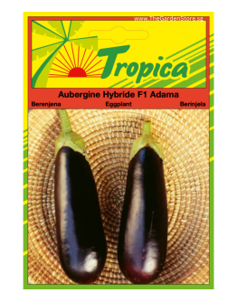 Eggplant (Adama F1) Aubergine By Tropica (50 Seeds)