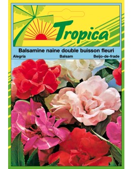 Balsam Seeds By Tropica