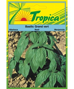 Sweet Basil (Grand Vert) Seeds By Tropica