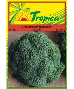 Broccoli Seeds (Isabela F1) By Tropica