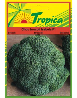 Broccoli Seeds (Isabela F1) By Tropica