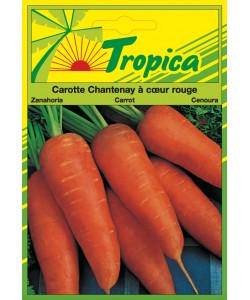 Carrot Seeds (Chantenay A Coer Rouge 2) By Tropica