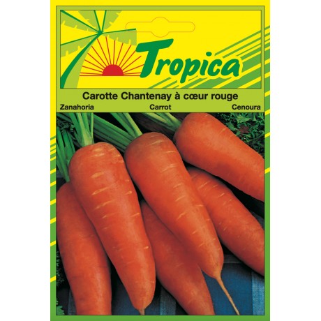 Carrot Seeds (Chantenay A Coer Rouge 2) By Tropica
