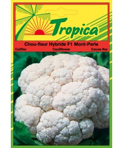 Cauliflower Seeds By Tropica