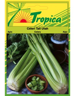 Celery Seeds (Tall Utah) By Tropica