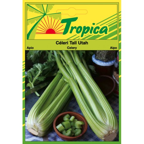 Celery Seeds (Tall Utah) By Tropica