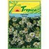 Chamomile Seeds By Tropica