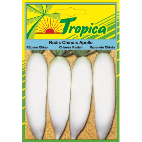 Chinese Radish Seeds By Tropica