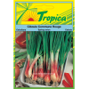 Spring Onion Seeds By Tropica