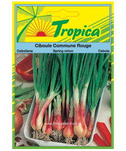 Spring Onion Seeds By Tropica