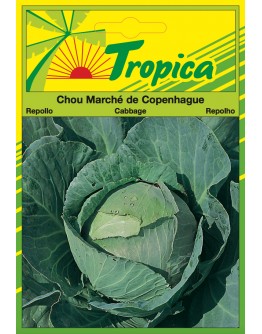 Cabbage (Marche De Copenhague 4) Seeds By Tropica