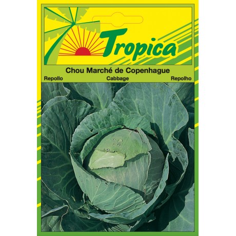 Cabbage (Marche De Copenhague 4) Seeds By Tropica