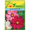 Cosmos Seeds By Tropica