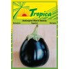 Eggplant (Black Beauty) Seeds By Tropica