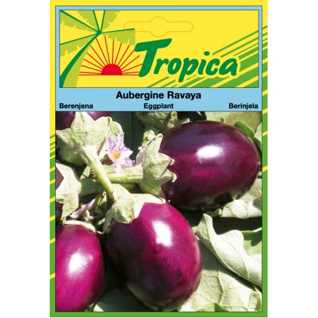 Eggplant (Long) Seeds By Tropica