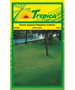 Bahia Grass Seeds By Tropica (50g)