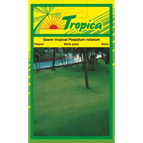 Bahia Grass Seeds By Tropica (50g)