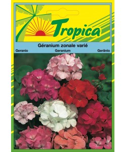 Geranium Seeds By Tropica