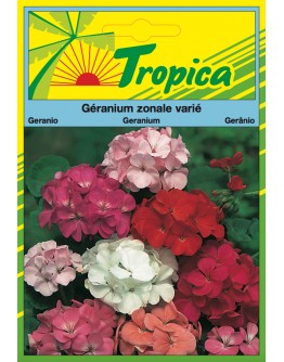 Geranium Seeds By Tropica