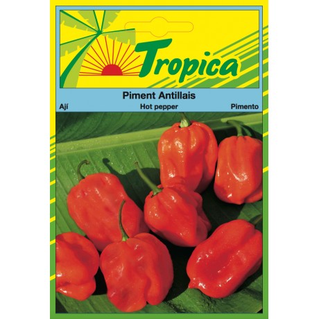 Hot Pepper Seeds (Antillais) By Tropica