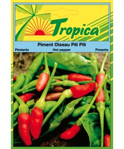 Hot Pepper (Oiseau Pili Pili) Seeds By Tropica