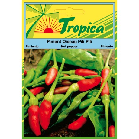 Hot Pepper (Oiseau Pili Pili) Seeds By Tropica