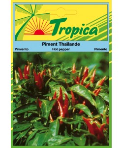 Hot Pepper (Thailande) Seeds By Tropica