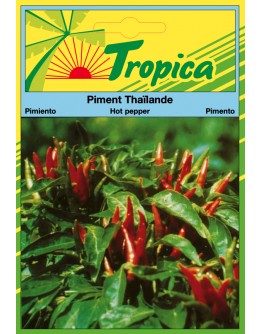 Hot Pepper (Thailande) Seeds By Tropica