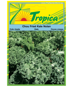 Kale Seeds (Nolan) By Tropica