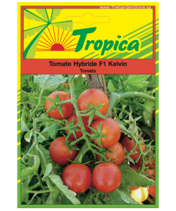 Tomato (Kelvin F1) Seeds By Tropica 0.3 grams