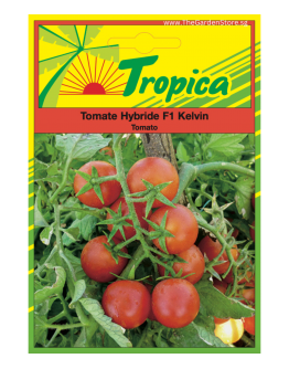Tomato (Kelvin F1) Seeds By Tropica 0.3 grams