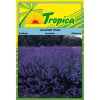 Lavender Seeds By Tropica