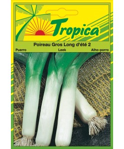Leek (Summer Long) Seeds By Tropica