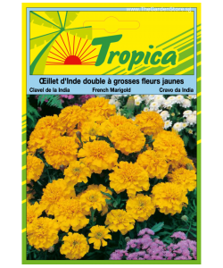 Marigold (French) Seeds By Tropica 120 Seeds approx