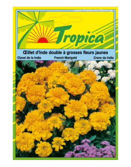Marigold (French) Seeds By Tropica 120 Seeds approx