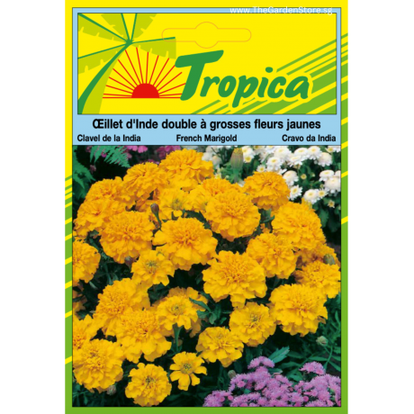 Marigold (French) Seeds By Tropica 120 Seeds approx